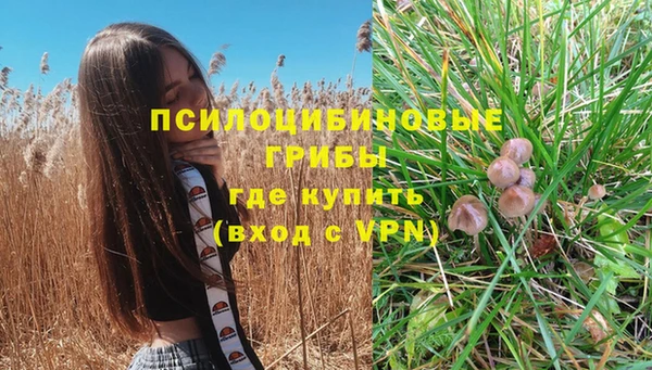 крисы Инта