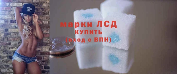прущие грибы Каменск-Шахтинский