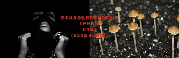 MESCALINE Иннополис