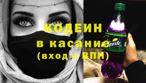 крисы Инта