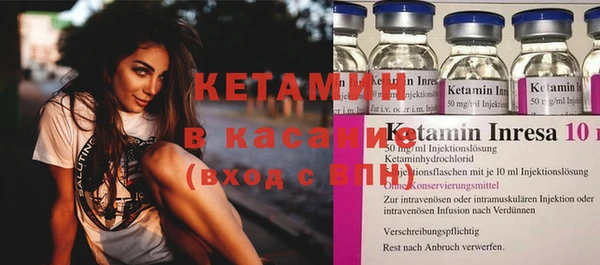крисы Инта