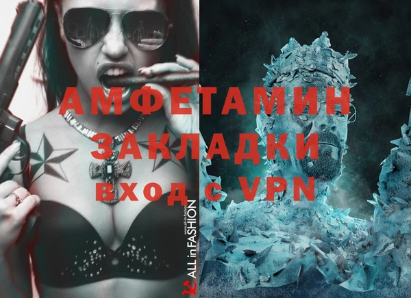 крисы Инта