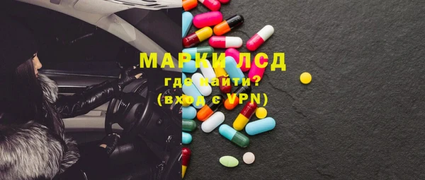 крисы Инта