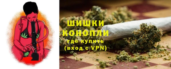 прущие грибы Каменск-Шахтинский