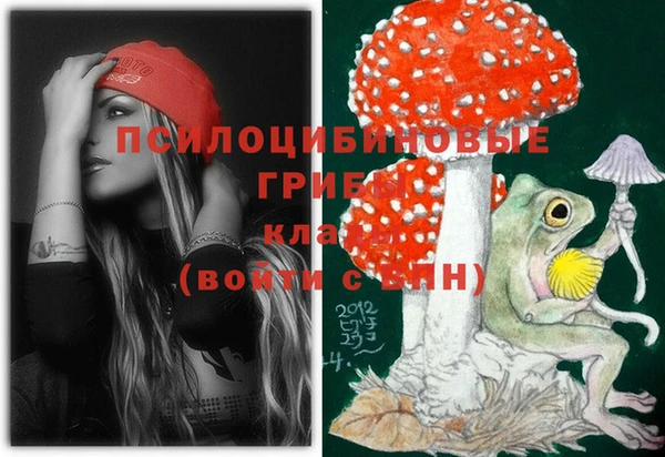 a pvp Инсар